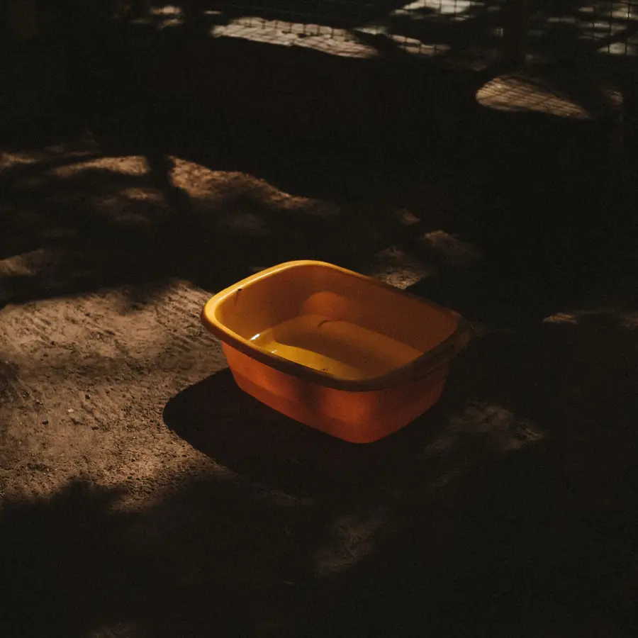 Photo 2 sur 4, Bassine plastique