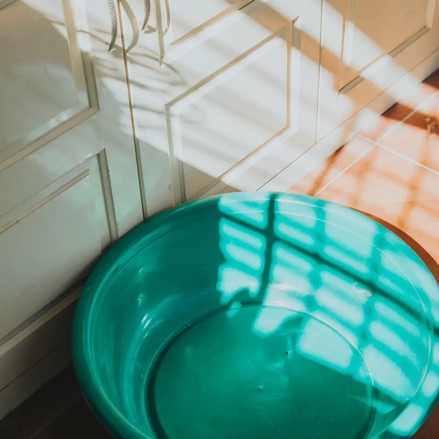 Bassine plastique
